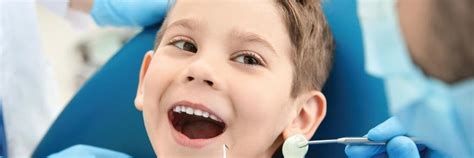 pediatric dentist palos heights|Pediatric Dentist Palos Heights, IL 